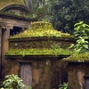 South Park Street Cemetery