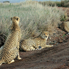 South Turkana National Reserve