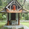 Pilathara Pilathara