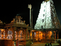 Sri Bhramaramba Jyothirlig Mallikarjuna Temple Yatra (Srisailam)
