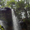 Sri Venkateswara National Park Treks