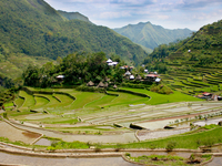 Ifugao