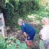 Starcevich Memorial Starcevich Memorial