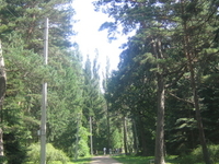 Stepanavan