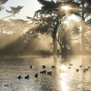 Stow Lake Stow Lake