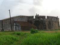 Sultan Battery Sultan Battery