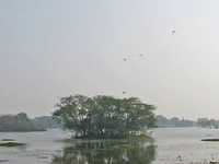 Sultanpur National Park Sultanpur National Park