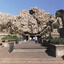 Sun City Sun City
