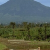 Mount Sundoro Mount Sundoro