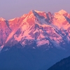 Chaukhamba