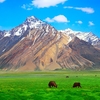 Suru Valley