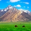 Suru Valley Suru Valley