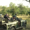 Sabi Sand Private Game Reserve Sabi Sand Private Game Reserve