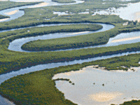 Saloum Delta National Park