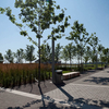 Sherbourne Common Sherbourne Common