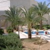 Deir Alla Deir Alla