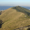 Signal Hill Signal Hill