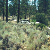Silver Moccasin Trail