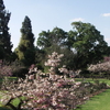 Johannesburg Botanical Garden