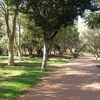 National Zoological Gardens of South Africa National Zoological Gardens of South Africa