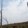 Rietvlei Nature Reserve