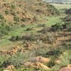 Suikerbosrand Nature Reserve