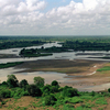Tana River Primate National Reserve