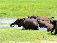 Northern Circuit Safari - Tanzania