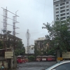 Tardeo Tardeo