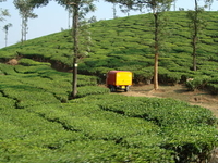 Wayanad Wayanad