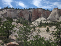 Telephone Canyon Trail Telephone Canyon Trail