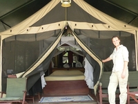 2 Nights at Cottar's 1920 Camp 2 Nights at Cottar's 1920 Camp