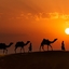Jaisalmer