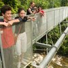 Tree Top Walk Sungai Sedim Tree Top Walk Sungai Sedim