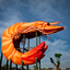 The Big Prawn