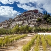 Thiksey Monastery
