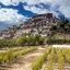Thiksey Monastery Thiksey Monastery