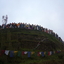Tiger Hill Tiger Hill