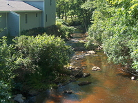 Tioga River Tioga River