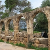 Tipaza