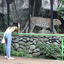 Avilon Zoo Avilon Zoo
