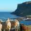 Faroe Islands