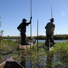 Okavango Delta