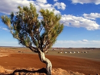 Gobi Desert Gobi Desert
