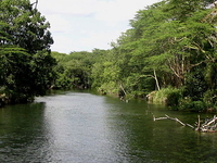 Tsavo River Tsavo River