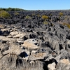 Tsingy de Bemaraha Strict Nature Reserve
