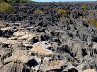 Tsingy de Bemaraha Strict Nature Reserve Tsingy de Bemaraha Strict Nature Reserve