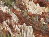 Ankarana Reserve
