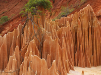 Karma Tour - Madagascar