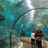 Aquarium Barcelona Aquarium Barcelona